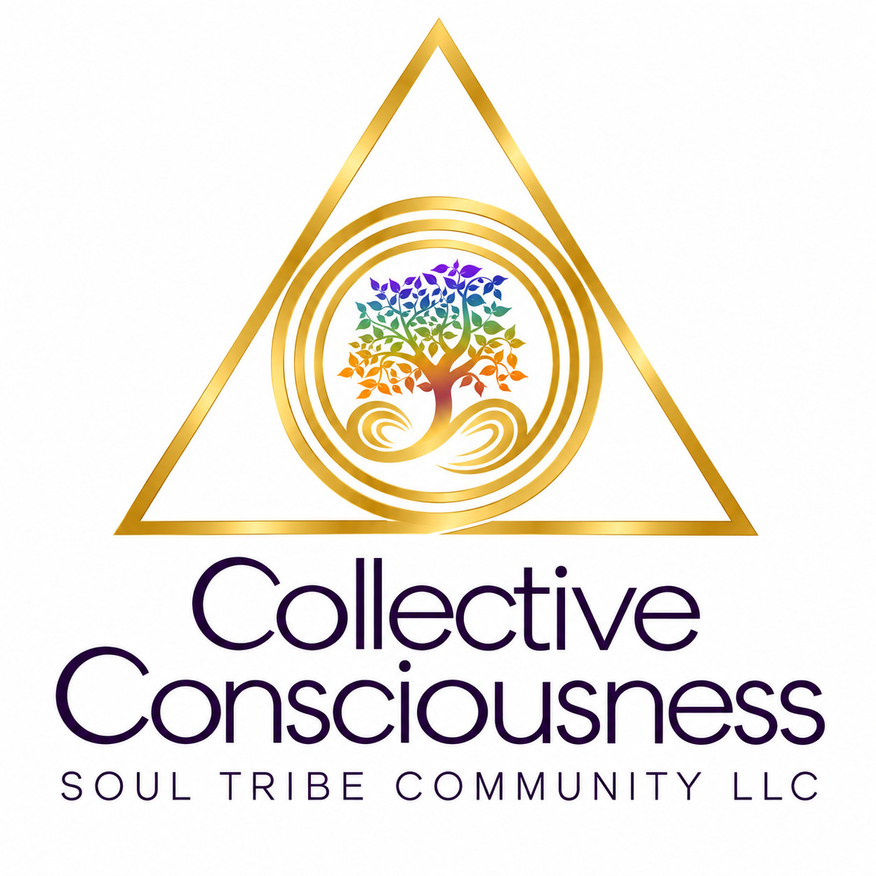 Collective Consciousness Soul Tribe Community LLC logo